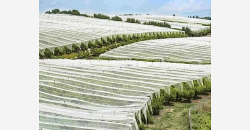 The Top 10 Agriculture Non-Woven Fabric Suppliers, Featuring Yizhou